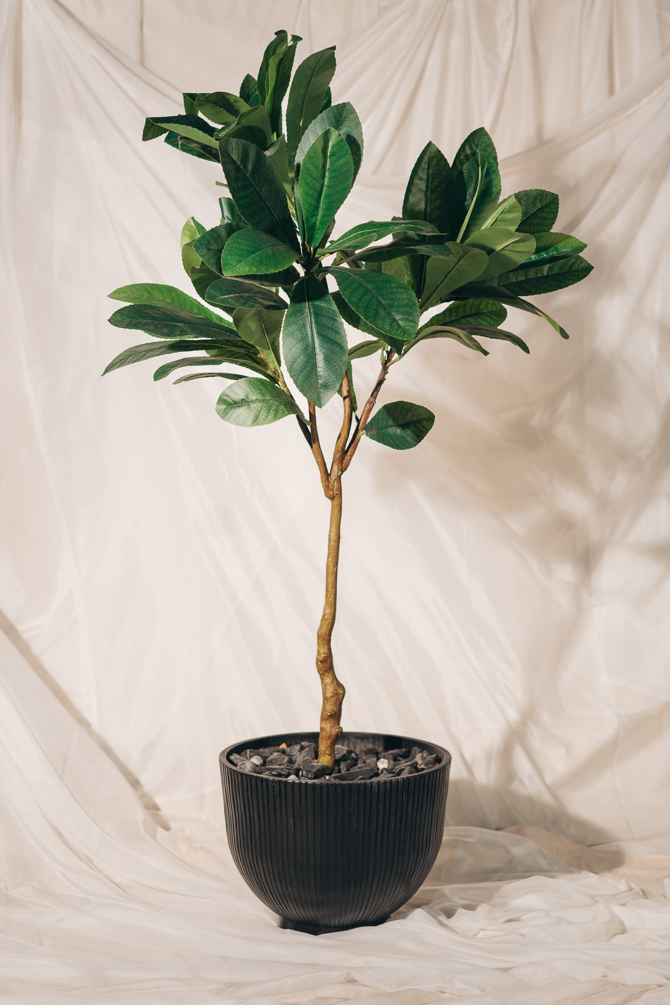 Grand Statement Trees