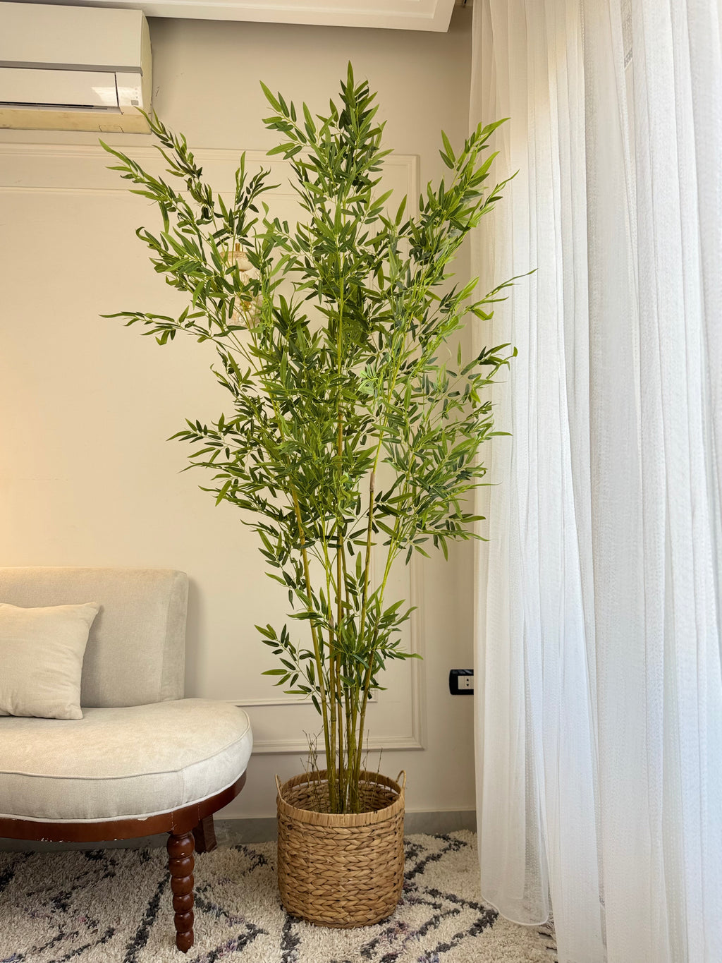 Bamboo in Jute Pot