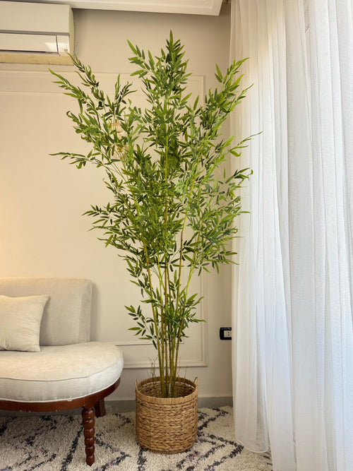 Bamboo in Jute Pot