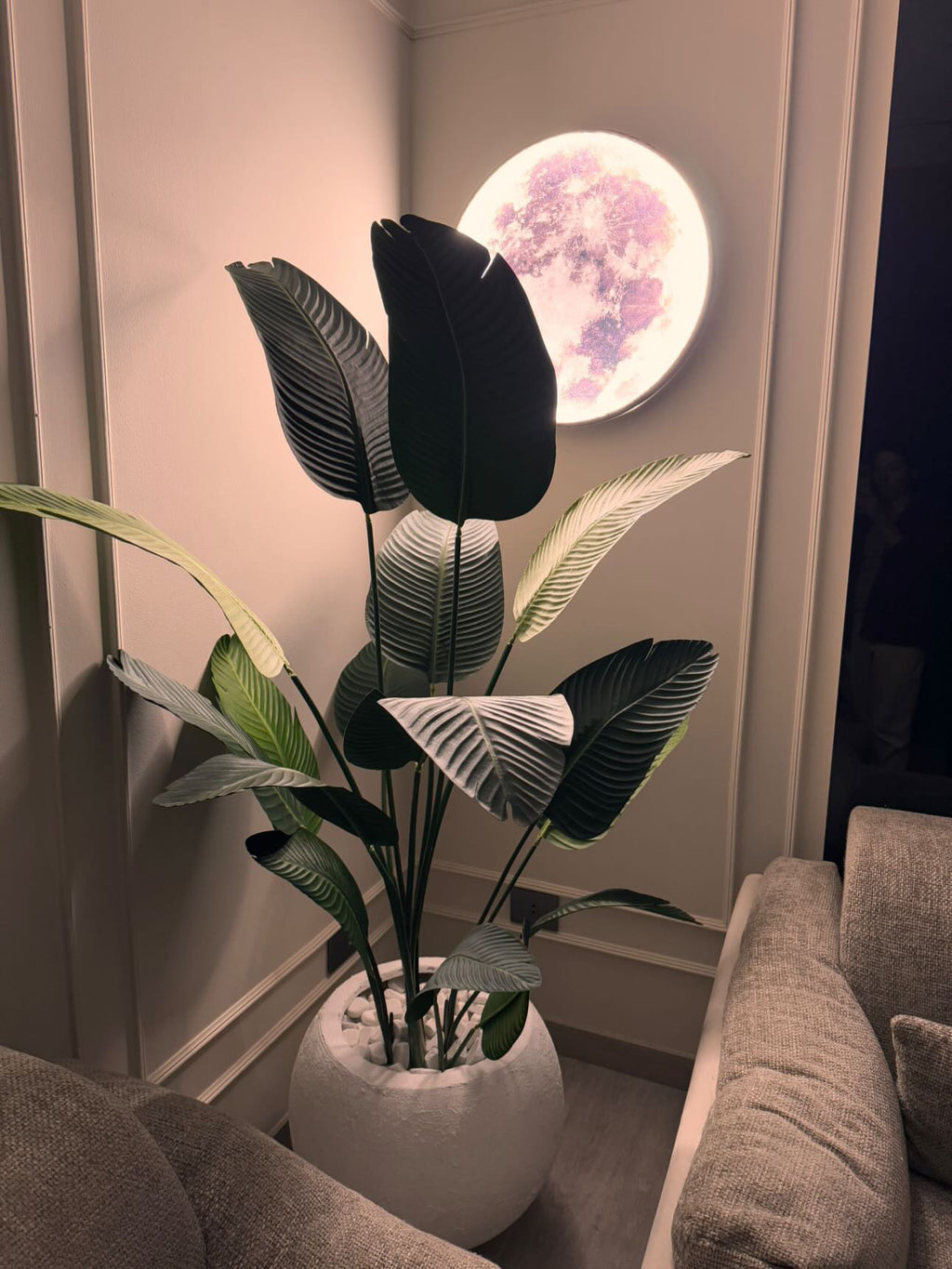 Banana in Bowl Pot