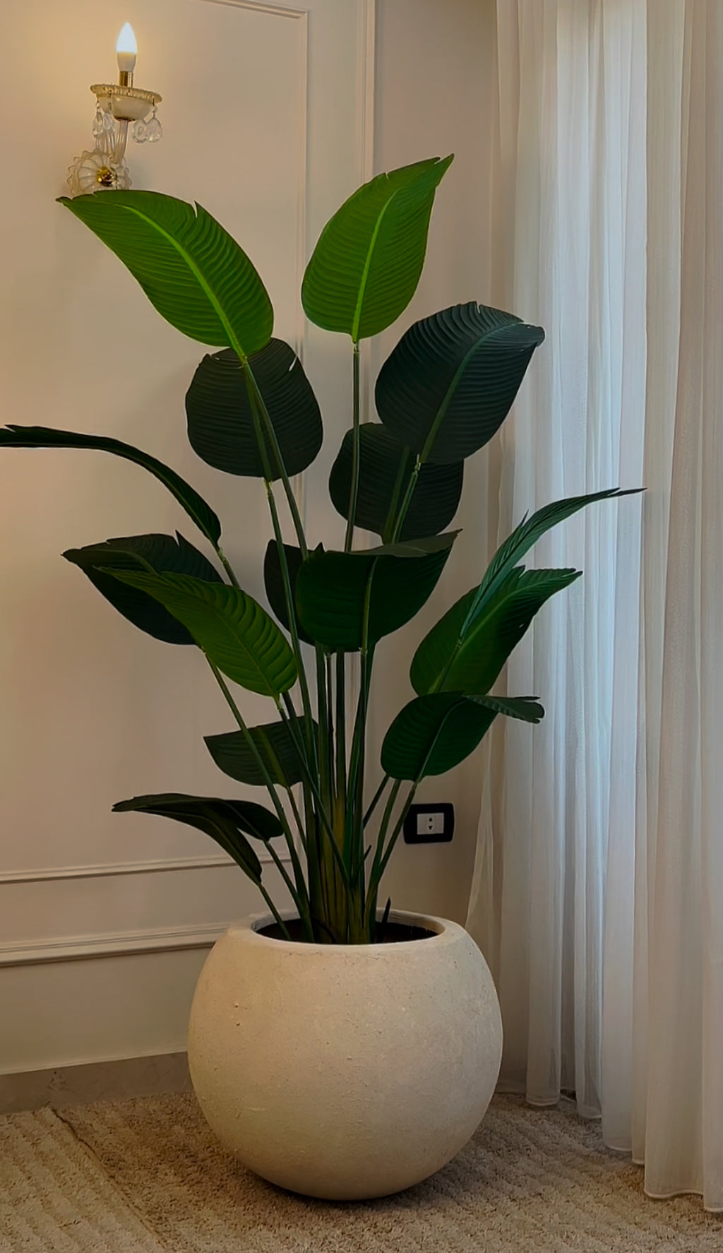 Banana in Bowl Pot