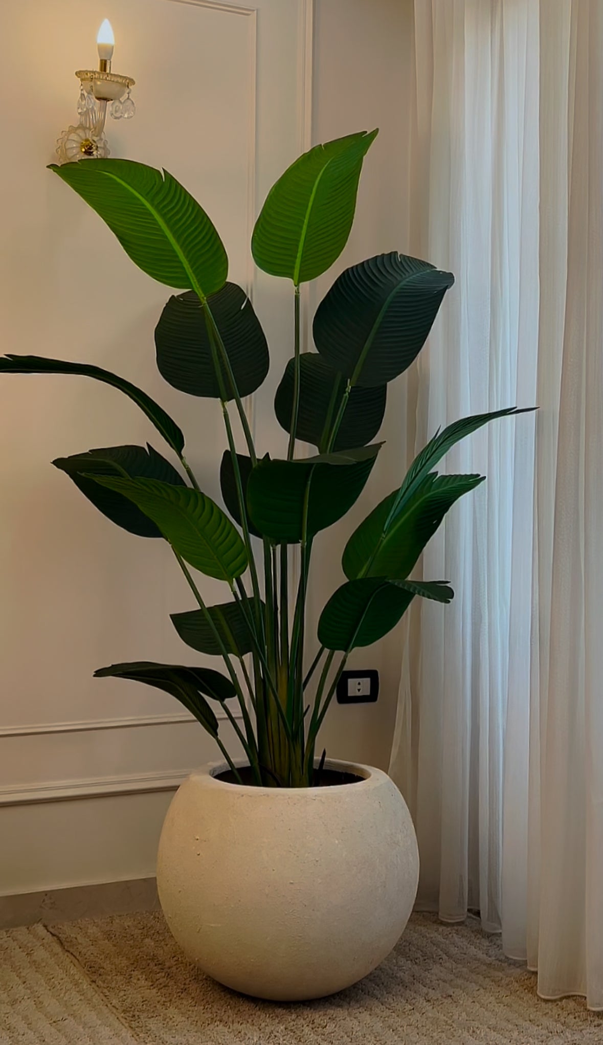 Banana in Bowl Pot