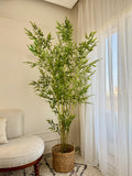 Bamboo in Jute Pot