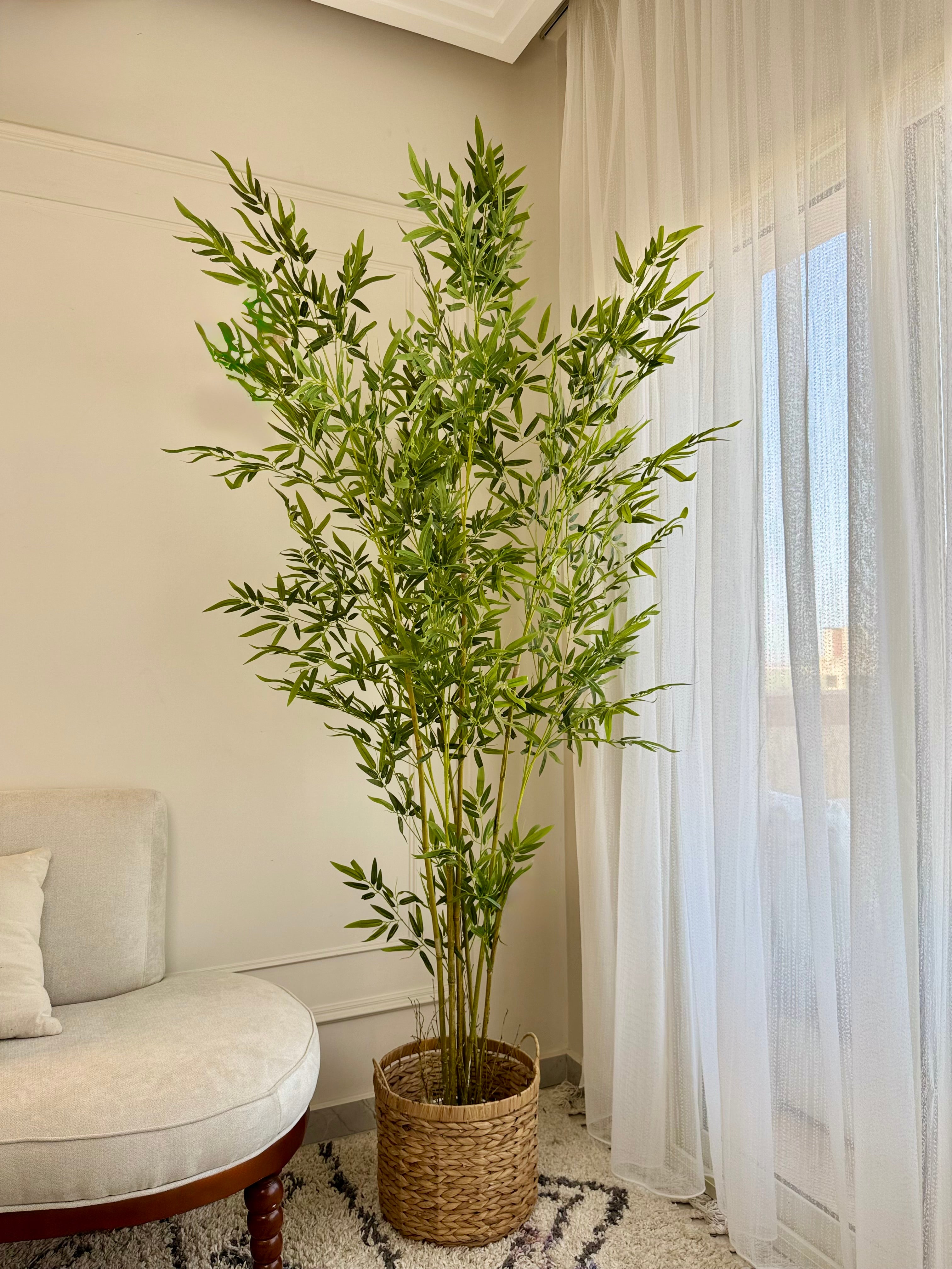 Bamboo in Jute Pot
