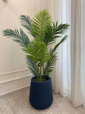 Areca Mid-Size
