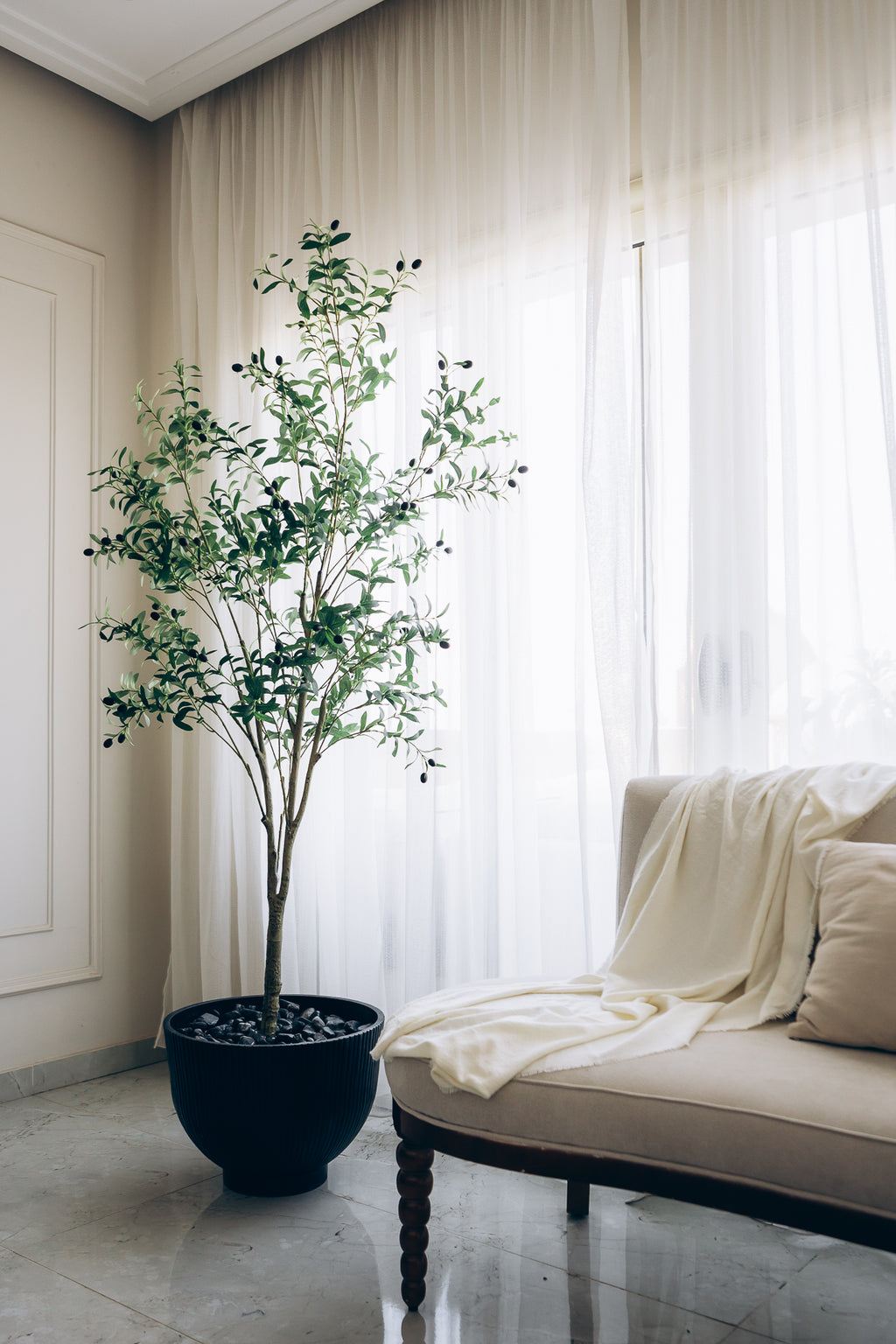 Olive tree