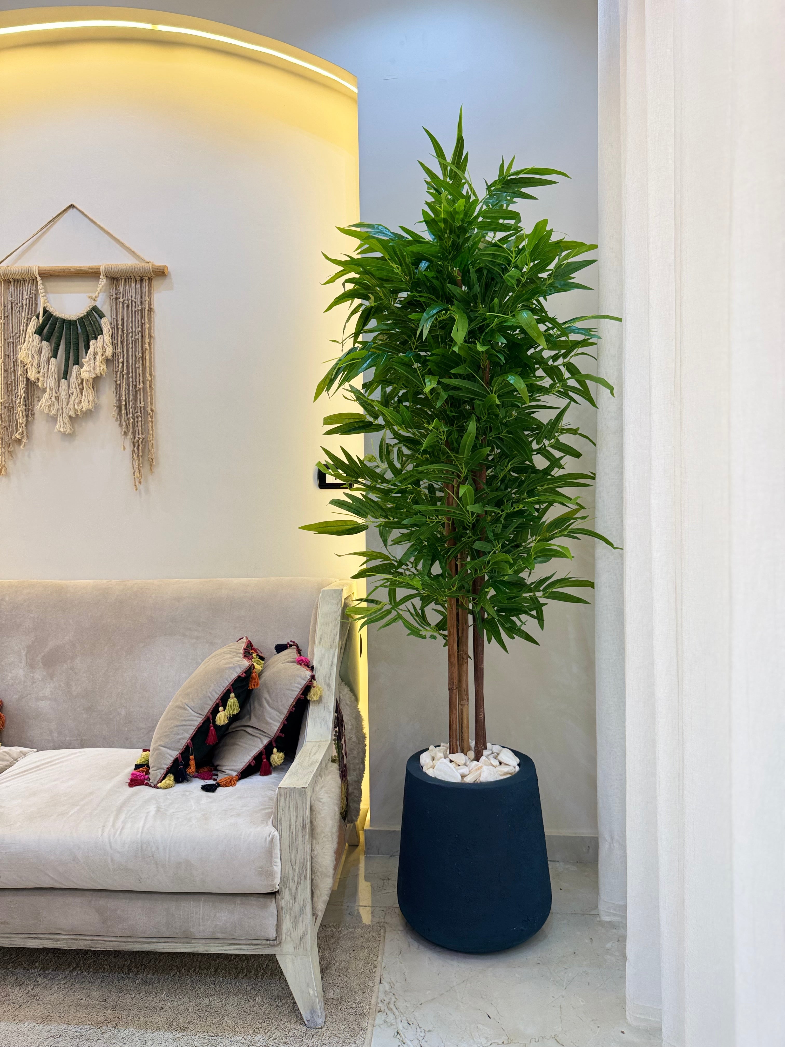 Bamboo in Tapered Pot