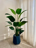Banana in Tapered Pot