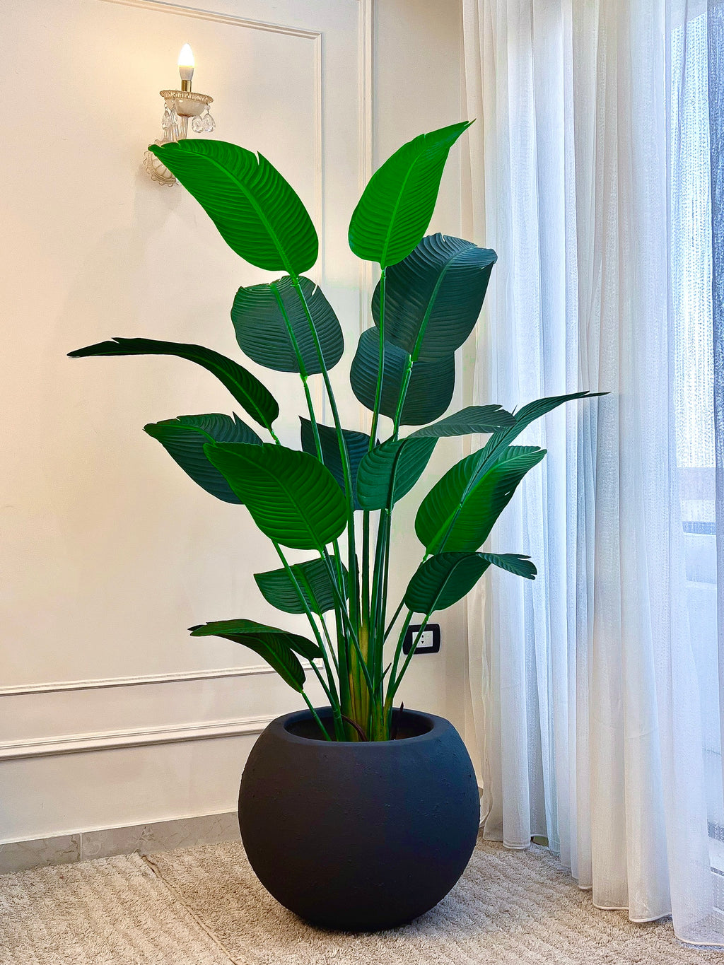 Banana in Bowl Pot