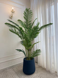 Areca in Tapered Pot