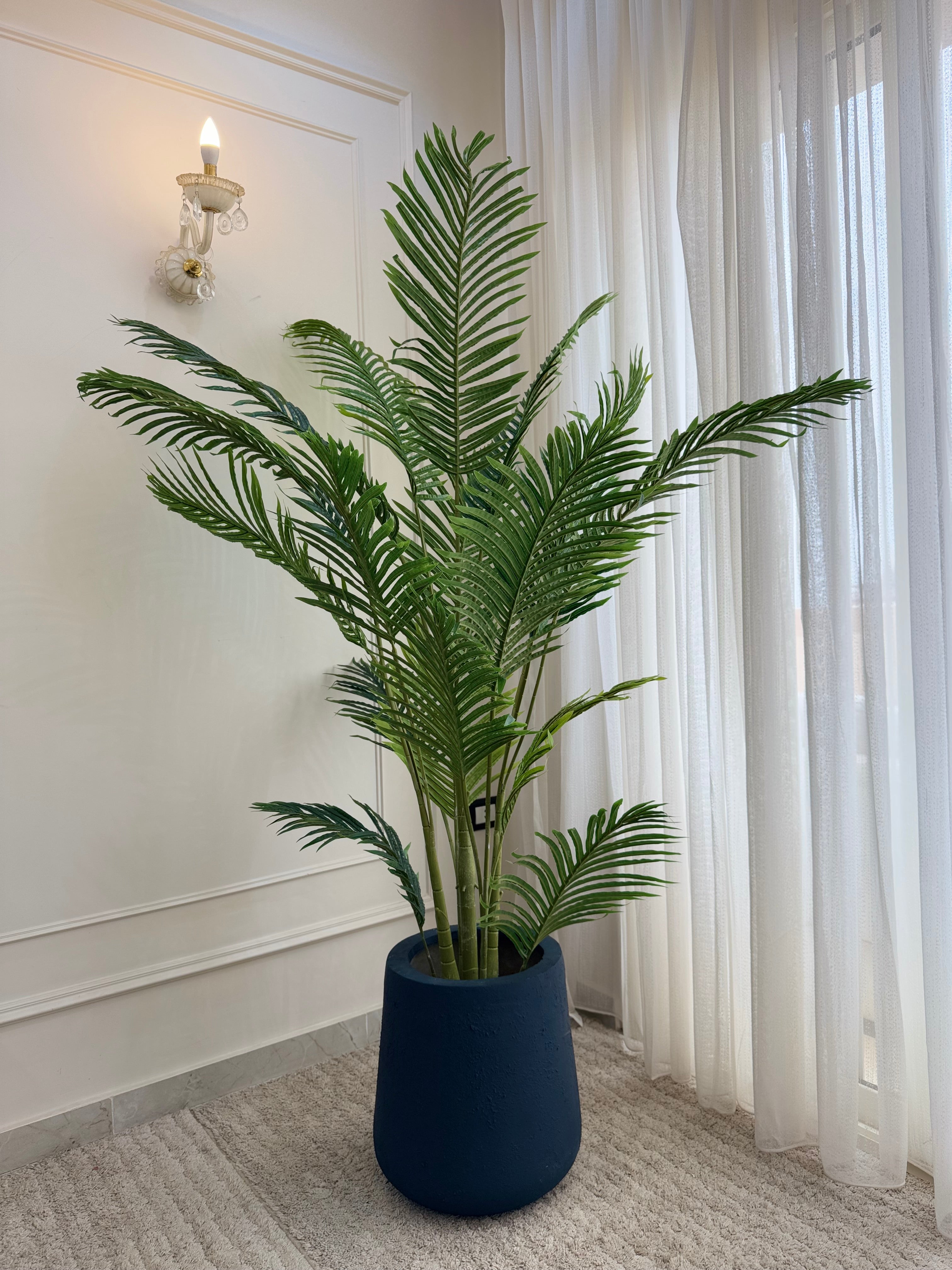 Areca in Tapered Pot