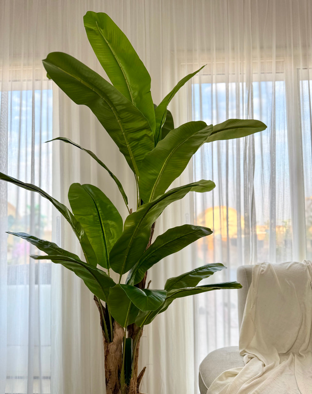 Sculptural Banana