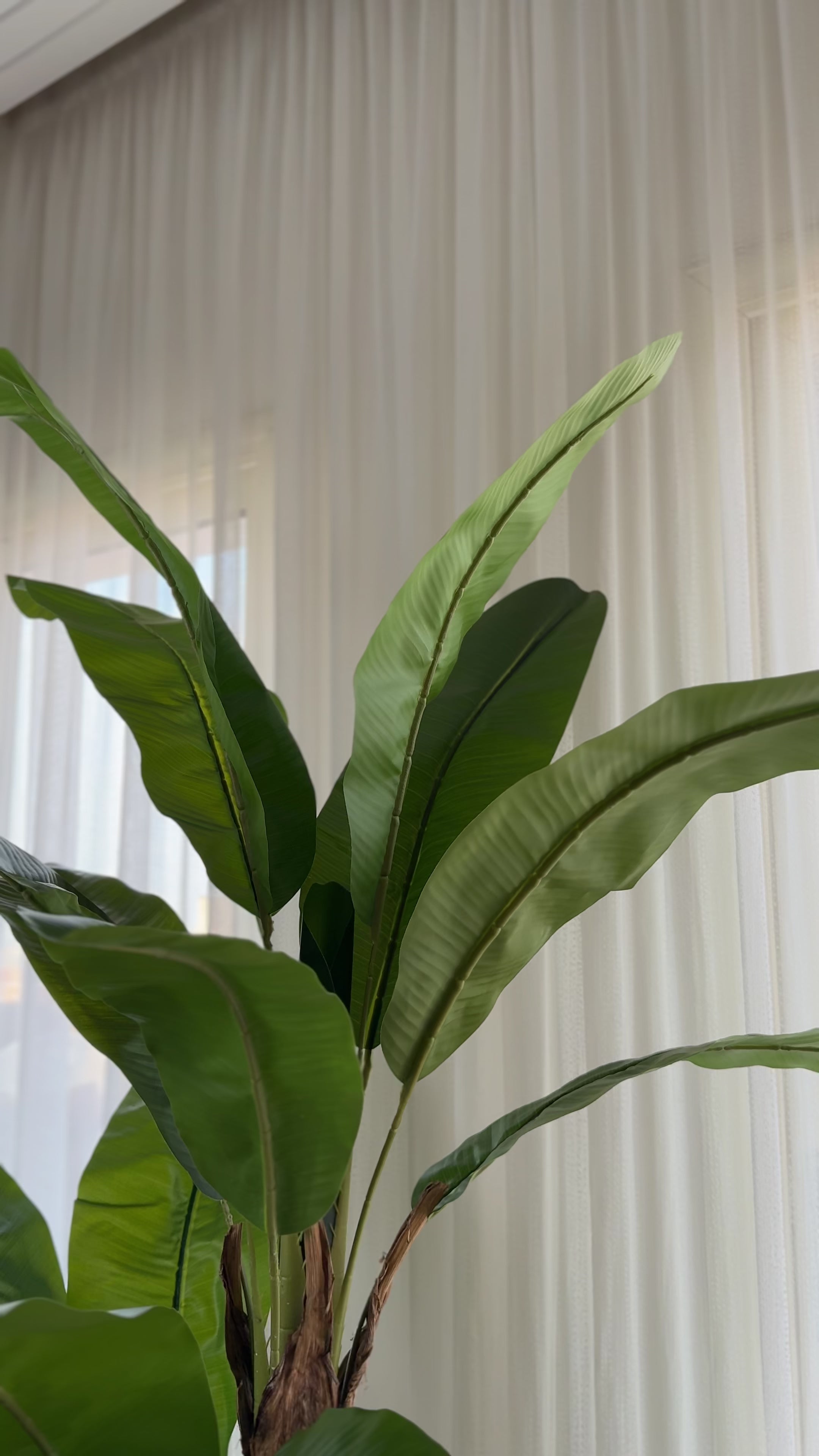 Sculptural Banana